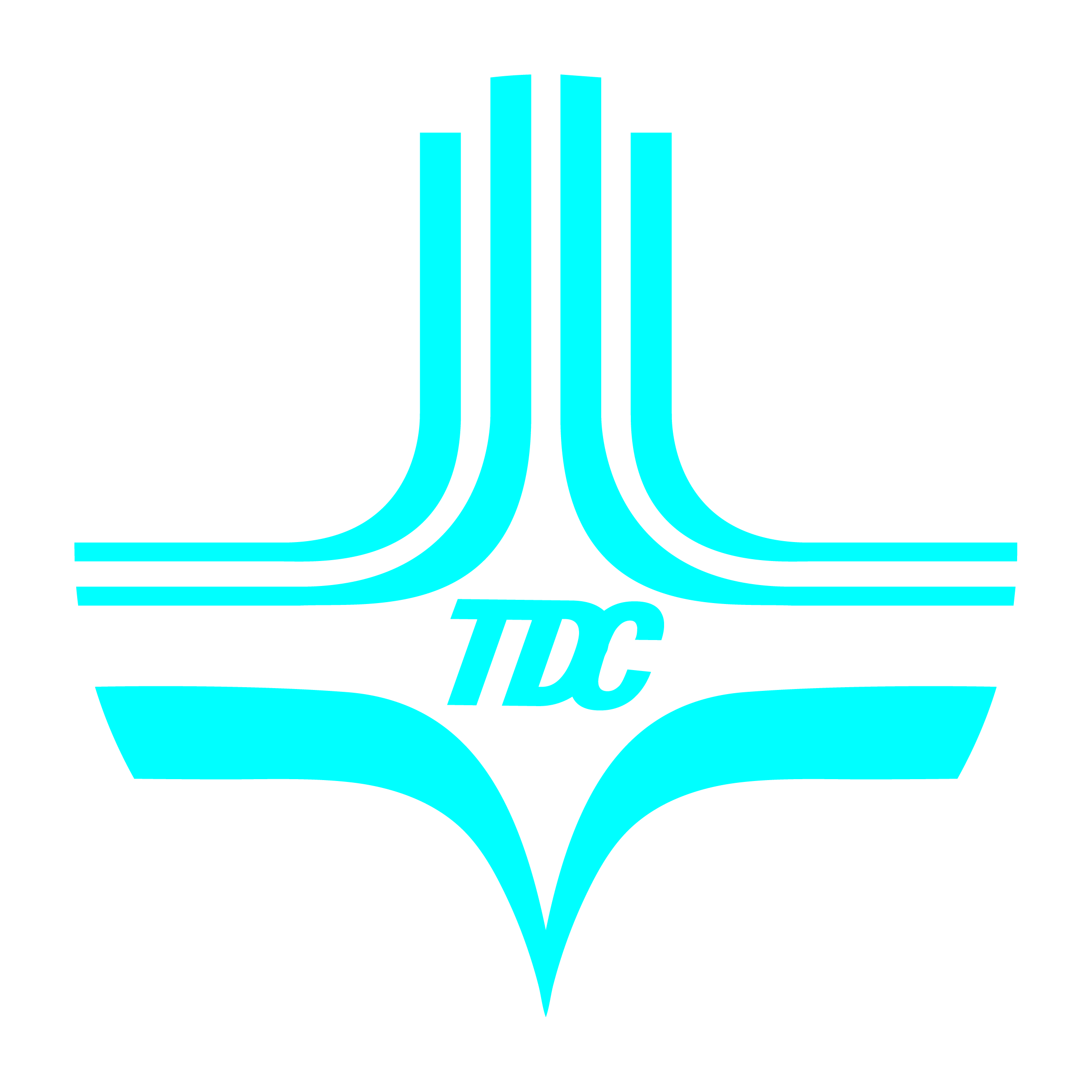 Qui định về chuẩn đầu ra ngoại ngữ - Tin học trình độ Trung cấp, trình độ Cao đẳng tại trường Cao đẳng Công nghệ Thủ Đức - 2025